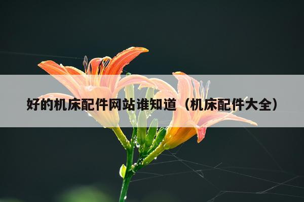好的机床配件网站谁知道（机床配件大全）