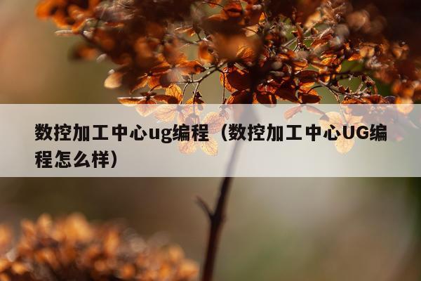 数控加工中心ug编程(数控加工中心UG编程怎么样)