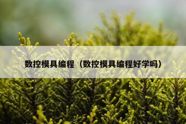 数控模具编程（数控模具编程好学吗）