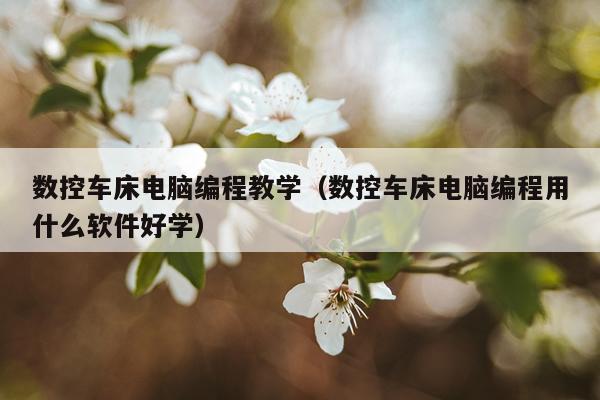 数控车床电脑编程教学（数控车床电脑编程用什么软件好学）