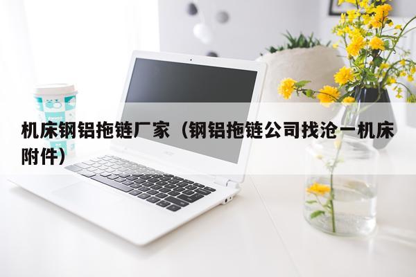机床钢铝拖链厂家(钢铝拖链公司找沧一机床附件)