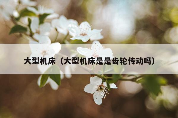 大型机床(大型机床是是齿轮传动吗)