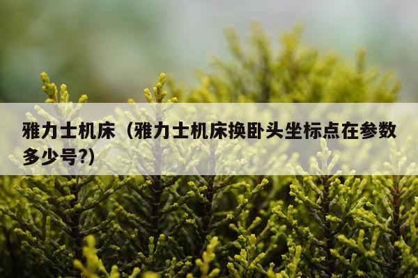 雅力士机床（雅力士机床换卧头坐标点在参数多少号?）