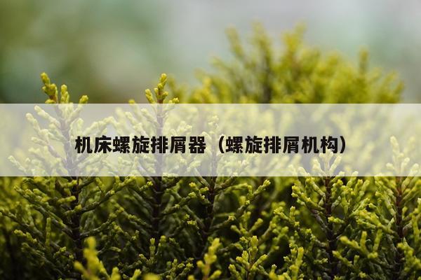 机床螺旋排屑器（螺旋排屑机构）