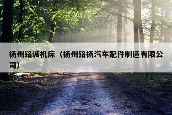 扬州铭诚机床（扬州铭扬汽车配件制造有限公司）