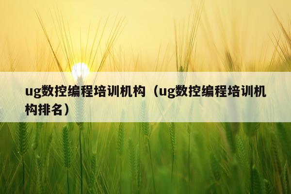 ug数控编程培训机构（ug数控编程培训机构排名）