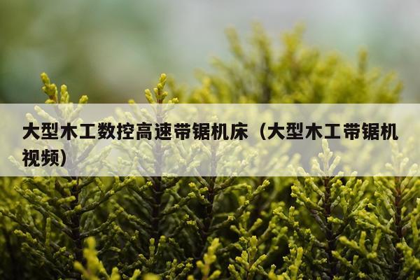 大型木工数控高速带锯机床（大型木工带锯机视频）