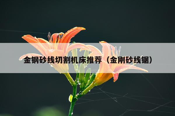 金钢砂线切割机床推荐(金刚砂线锯)