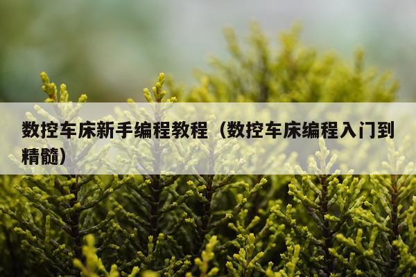 数控车床新手编程教程（数控车床编程入门到精髓）