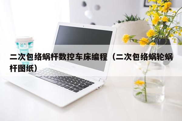 二次包络蜗杆数控车床编程（二次包络蜗轮蜗杆图纸）