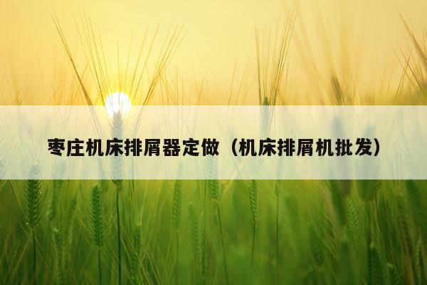 枣庄机床排屑器定做（机床排屑机批发）