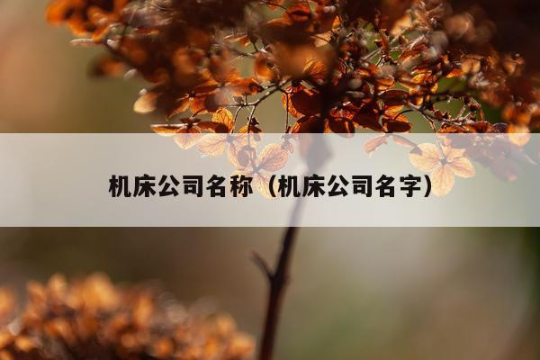机床公司名称（机床公司名字）