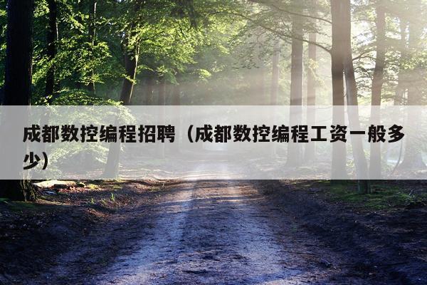 成都数控编程招聘（成都数控编程工资一般多少）