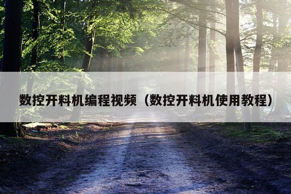 数控开料机编程视频(数控开料机使用教程)