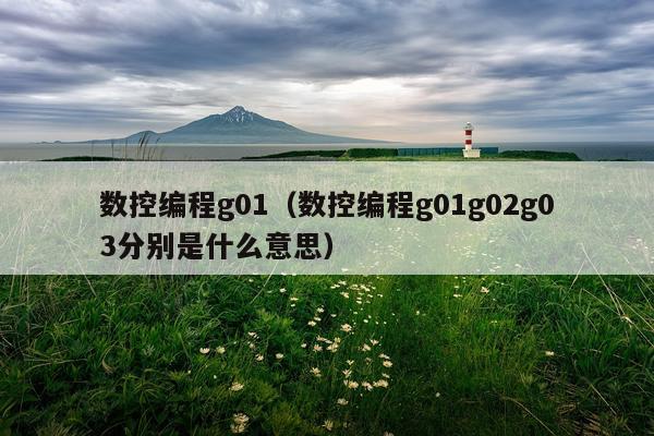 数控编程g01(数控编程g01g02g03分别是什么意思)