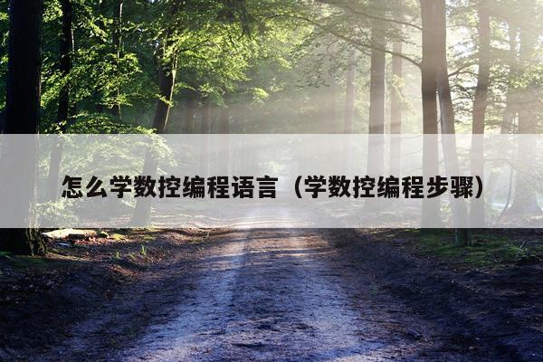 怎么学数控编程语言(学数控编程步骤)