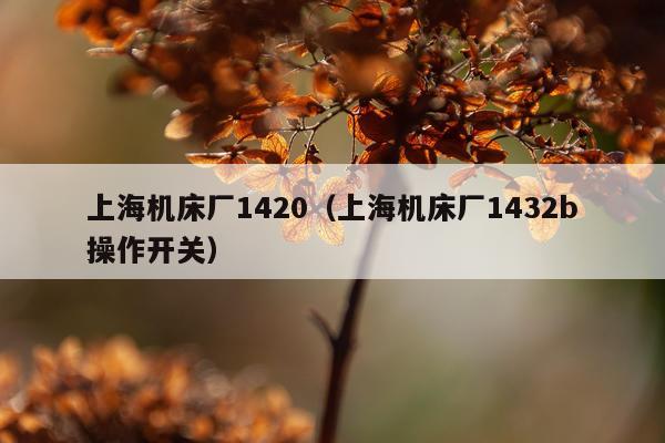 上海机床厂1420（上海机床厂1432b操作开关）
