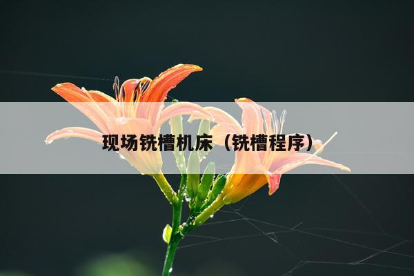 现场铣槽机床（铣槽程序）
