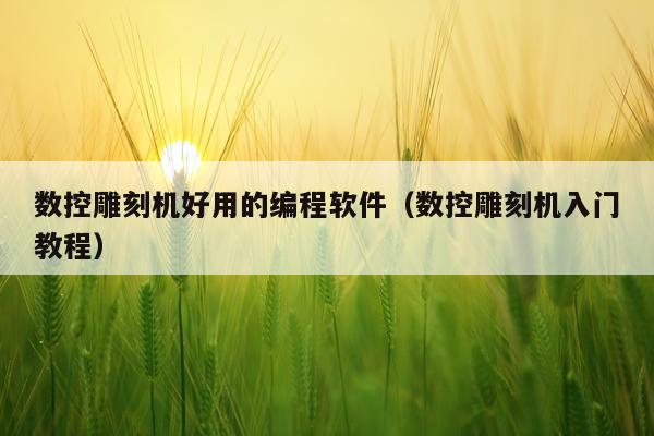 数控雕刻机好用的编程软件（数控雕刻机入门教程）