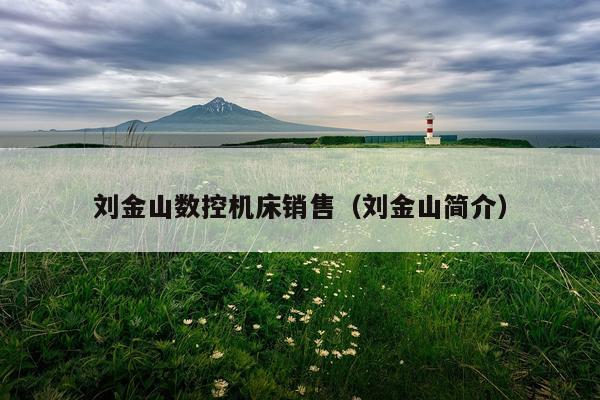 刘金山数控机床销售（刘金山简介）