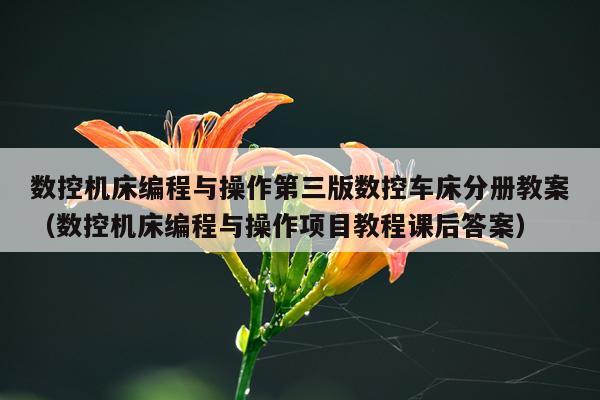 数控机床编程与操作第三版数控车床分册教案（数控机床编程与操作项目教程课后答案）
