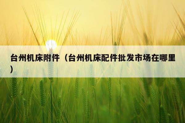 台州机床附件（台州机床配件批发市场在哪里）