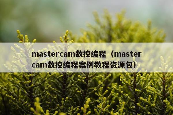 mastercam数控编程（mastercam数控编程案例教程资源包）