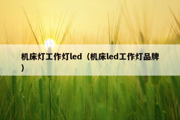 机床灯工作灯led（机床led工作灯品牌）