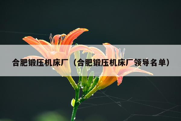合肥锻压机床厂(合肥锻压机床厂领导名单)
