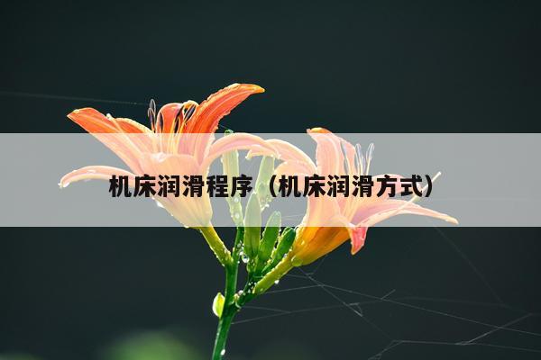 机床润滑程序(机床润滑方式)