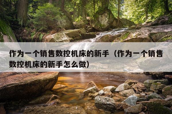 作为一个销售数控机床的新手(作为一个销售数控机床的新手怎么做)