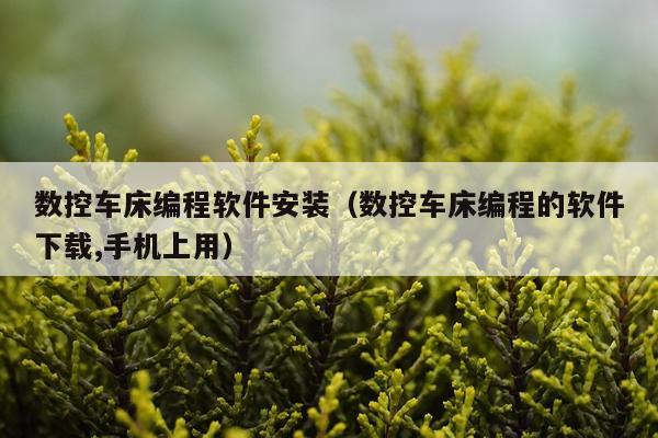 数控车床编程软件安装（数控车床编程的软件下载,手机上用）