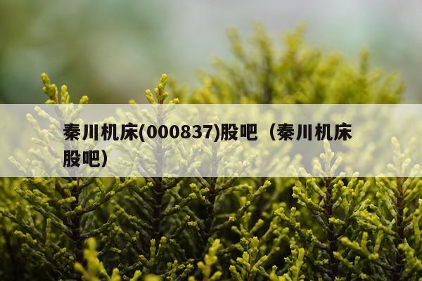 秦川机床(000837)股吧(秦川机床 股吧)