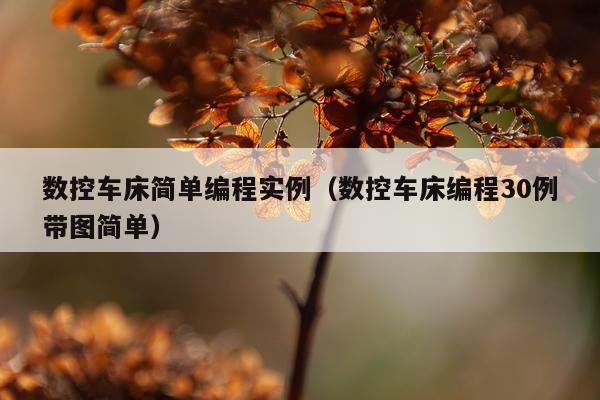 数控车床简单编程实例(数控车床编程30例带图简单)
