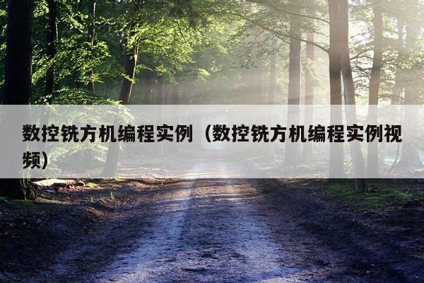 数控铣方机编程实例（数控铣方机编程实例视频）