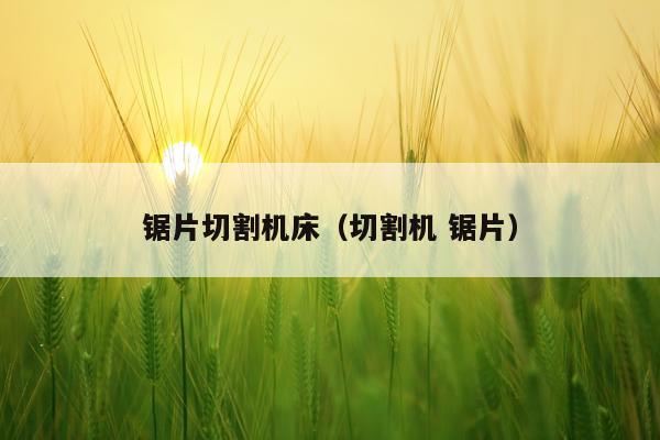 锯片切割机床（切割机 锯片）
