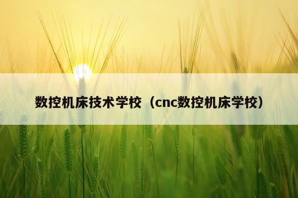 数控机床技术学校（cnc数控机床学校）