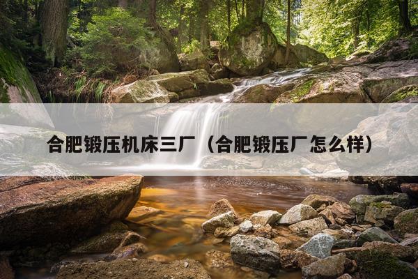 合肥锻压机床三厂（合肥锻压厂怎么样）