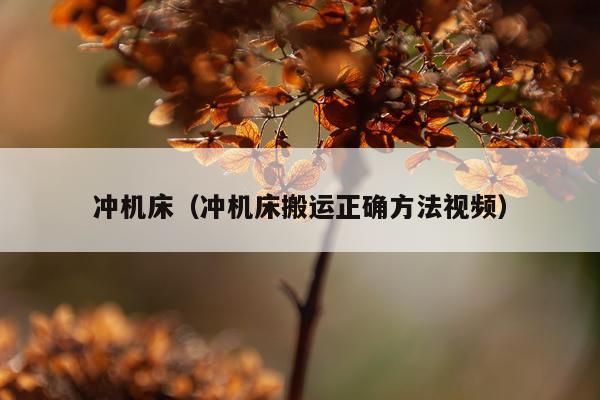 冲机床（冲机床搬运正确方法视频）