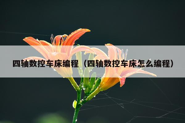 四轴数控车床编程（四轴数控车床怎么编程）