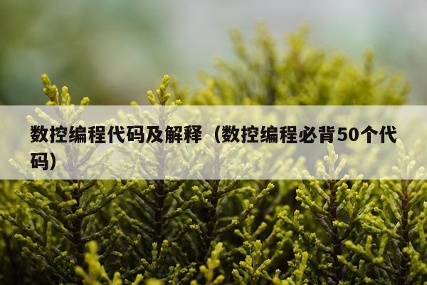 数控编程代码及解释（数控编程必背50个代码）