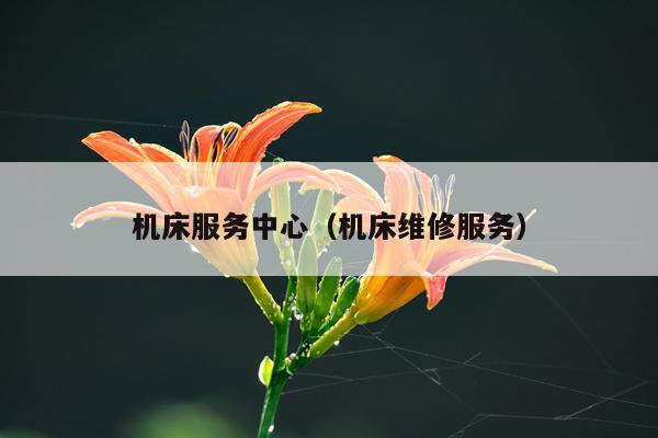 机床服务中心（机床维修服务）