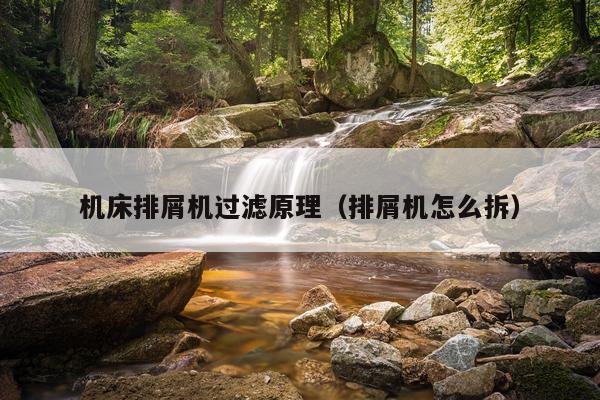 机床排屑机过滤原理（排屑机怎么拆）