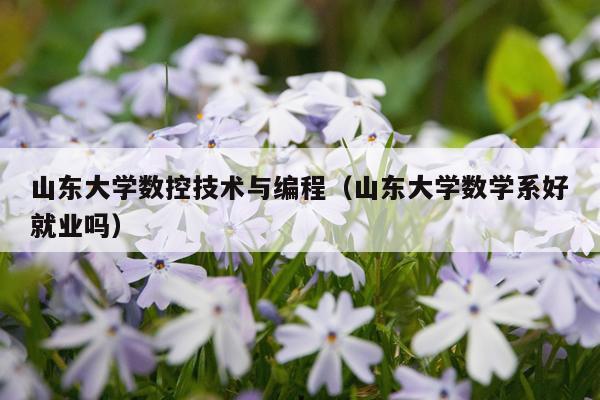 山东大学数控技术与编程(山东大学数学系好就业吗)