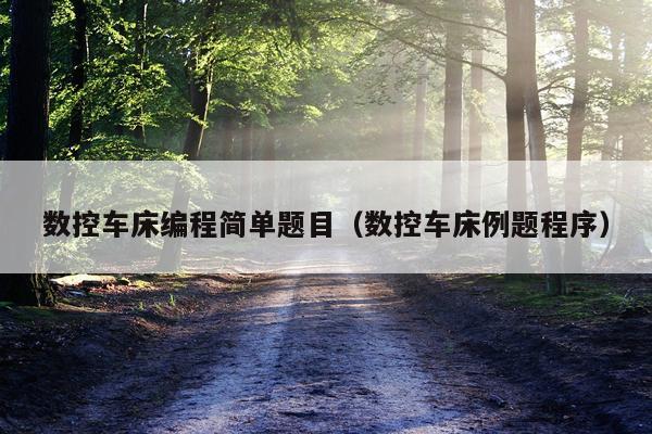 数控车床编程简单题目(数控车床例题程序)