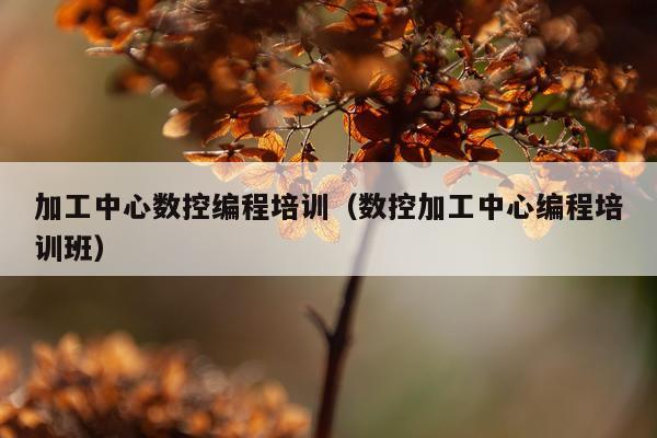 加工中心数控编程培训（数控加工中心编程培训班）