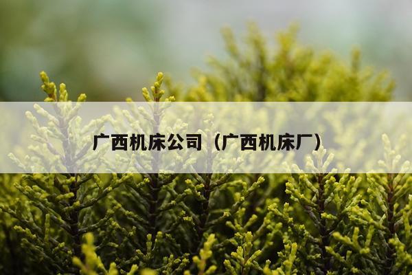 广西机床公司（广西机床厂）