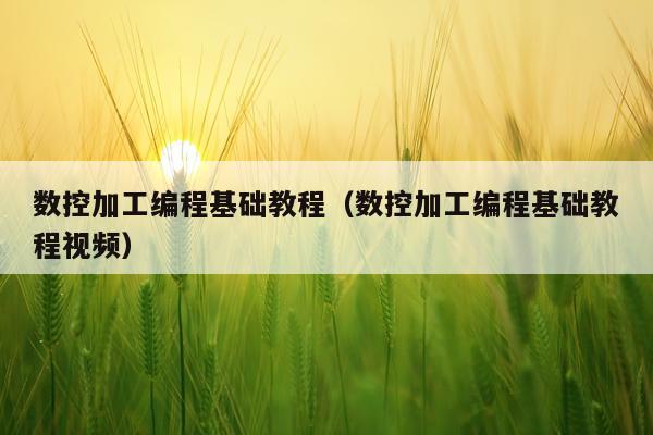 数控加工编程基础教程（数控加工编程基础教程视频）