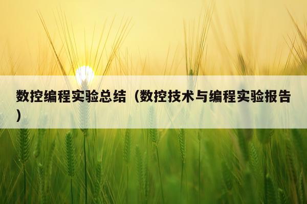 数控编程实验总结（数控技术与编程实验报告）