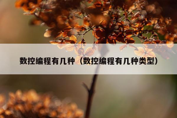 数控编程有几种（数控编程有几种类型）